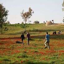 באר מרווה. | רפי בביאן
