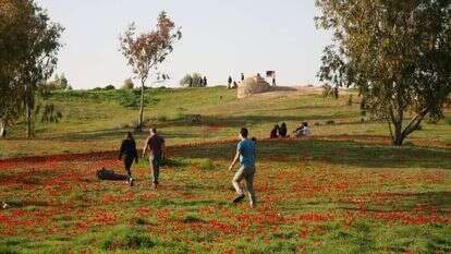באר מרווה. | רפי בביאן