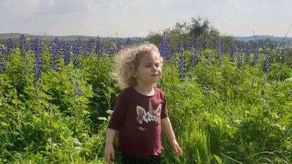 פריחה בגבעת התורמוסים. | אורנה בן חיים