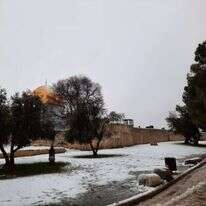 הר הבית, הבוקר. | ארנון סגל