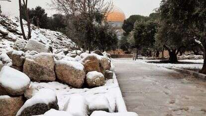 הר הבית מושלג, ביום חמישי. | ארנון סגל