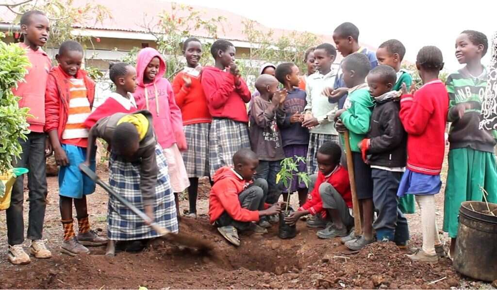 אוכל בריא לשתיים־שלוש ארוחות ביום. קיר ירוק בקניה. | רן לוי־יממורי