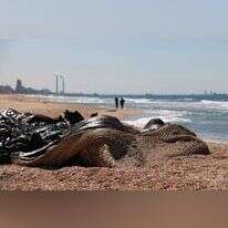עיוורון לאומי למרחב הימי. חוף אשקלון, השבוע. | AFP