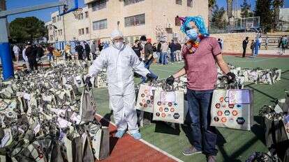 תלמידים באפרת מכינים סלי מזון לחלוקה בפורים, השבוע. | גרשון אלינסון, פלאש 90