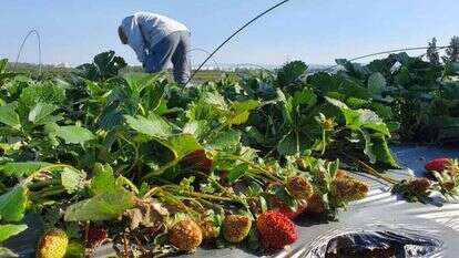 נזקי הסופה. | יוסי אברהמי