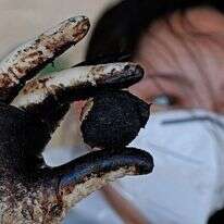 מזנקי זיהום הזפת בים התיכון. | AFP