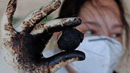 מזנקי זיהום הזפת בים התיכון. | AFP