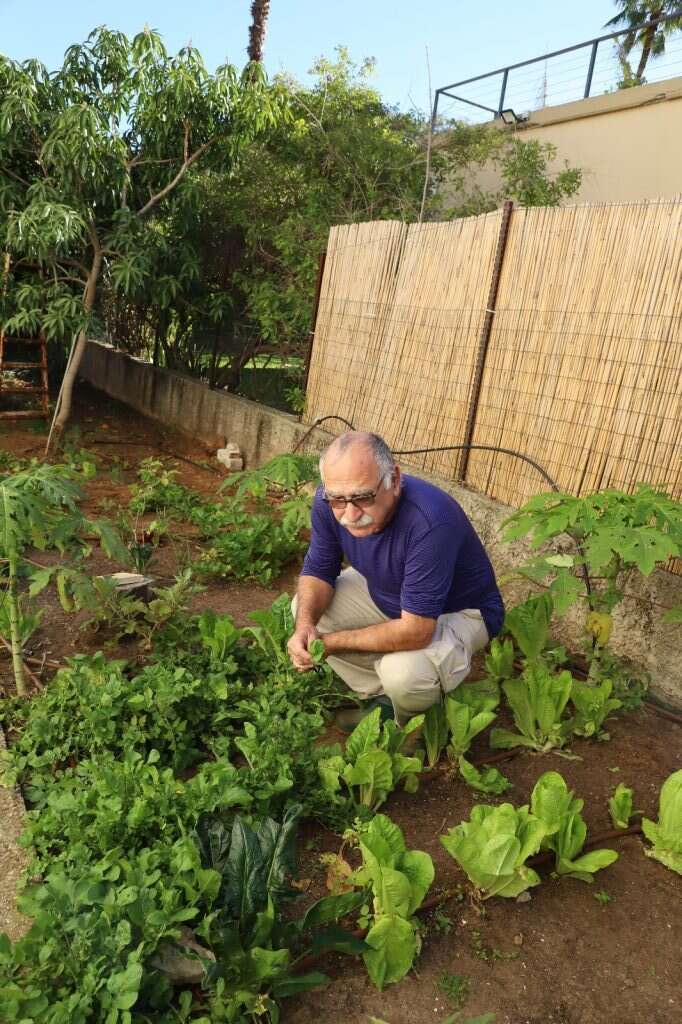 יעל (פרוינד) אברהם