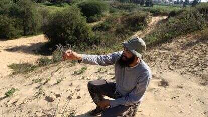 נוגן צברי. | יעל (פרוינד) אברהם