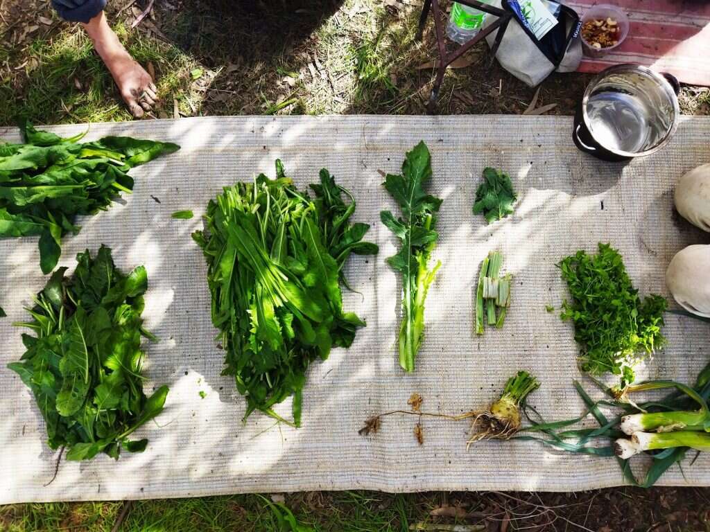 אופק רון־כרמל