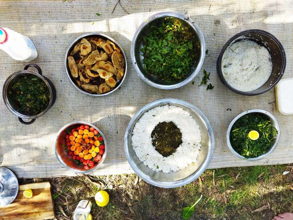 אופק רון־כרמל