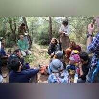 אופק רון־כרמל