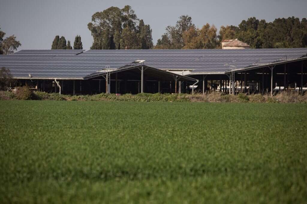 "הראיתי לחברת משקי הקיבוצים שאני יכול למכור להם חשמל הרבה יותר זול". עין־החורש. | הדס פרוש, פלאש 90