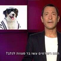 האם רפורמים עשו "בארק" מצווה"?. | מסך מתוך כאן 11