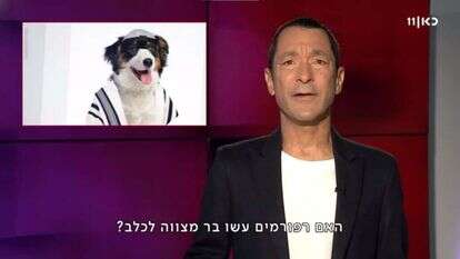 האם רפורמים עשו "בארק" מצווה"?. | מסך מתוך כאן 11