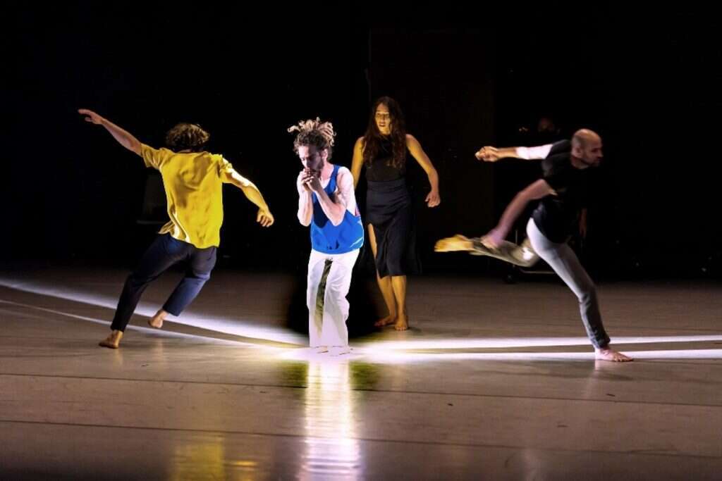 Shape On Us. | יואל לוי