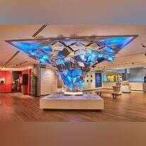 "אנו". | זיו כץ