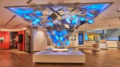 "אנו". | זיו כץ