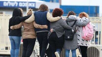 עומרי שטיין, ג'יני