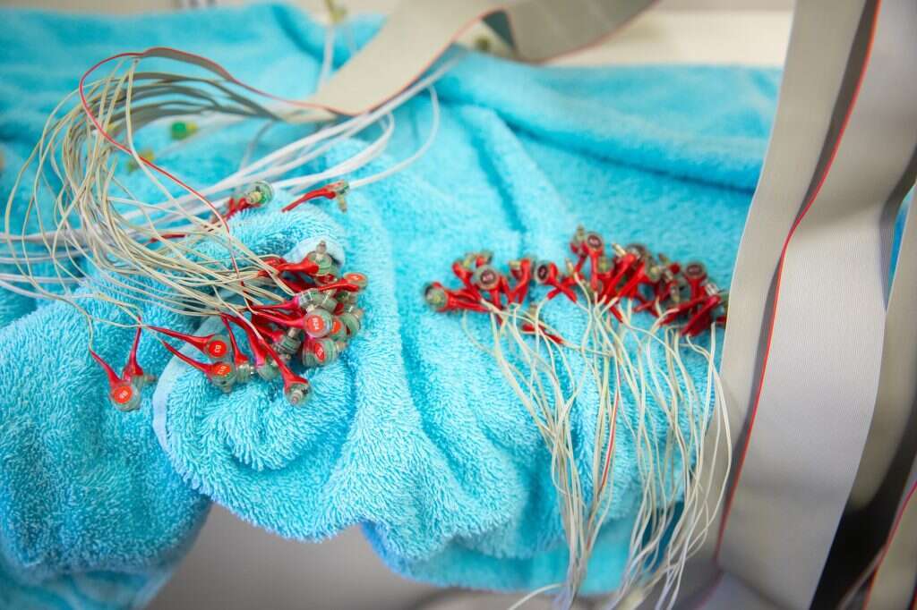 אוליבייה פיטוסי, פלאש 90