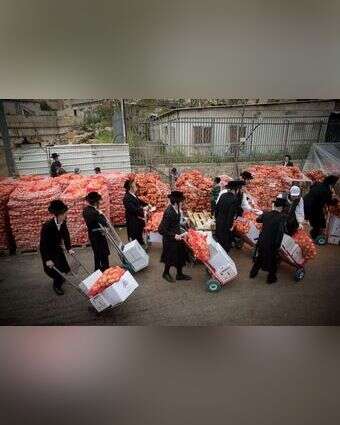 קניות לפסח. אילוסטרציה | יונתן זינדל, פלאש 90