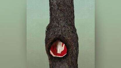 איור: שרון ארדיטי