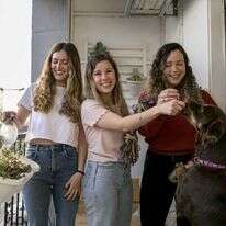 אוליבייה פיטוסי, פלאש 90