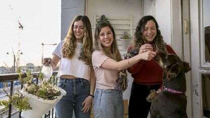 אוליבייה פיטוסי, פלאש 90