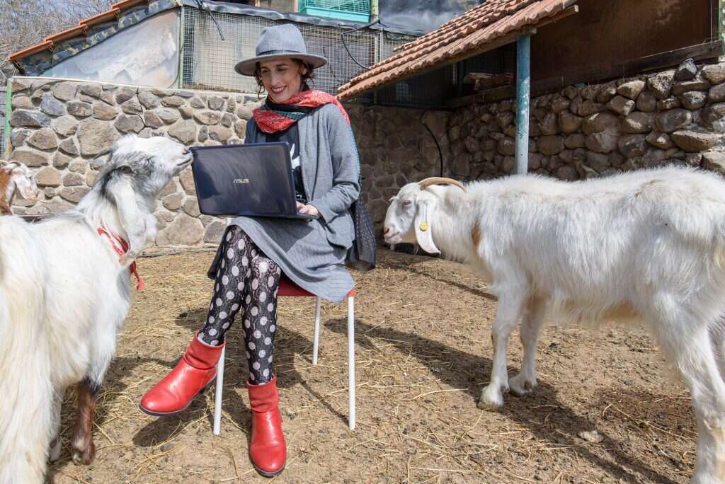 מעדיפה חיים ללא טלפון נייד. שמשוני. | אייל מרגולין, ג'יני