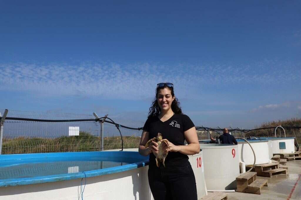 "הם דואים במלכותיות". שרון קיסלוק. | יעל (פרוינד) אברהם