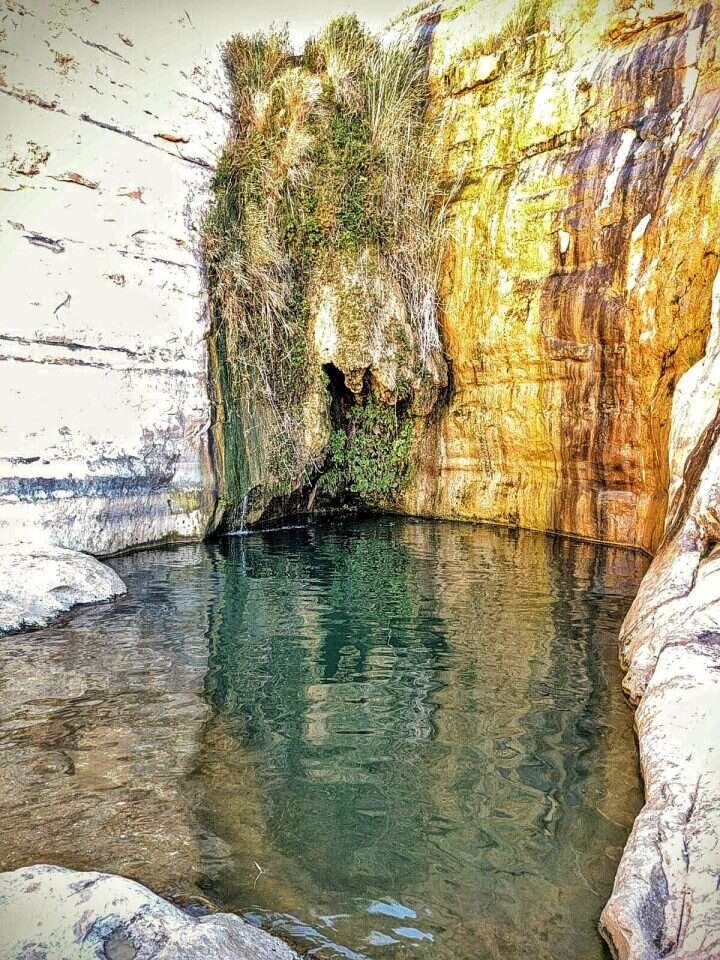 עין עקב. | רענן בוקובסקי