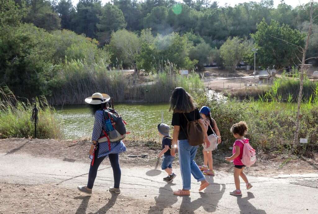 נאות קדומים. | אלדד מאסטרו