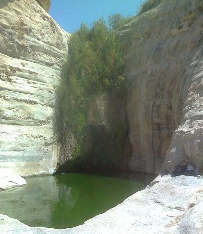 עין עקב. | עציון רייכנר