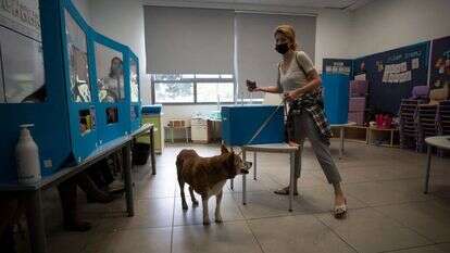 בחירות בתל אביב. | EPA