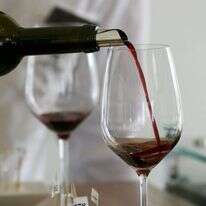 אנצ'ו גוש - ג'יני