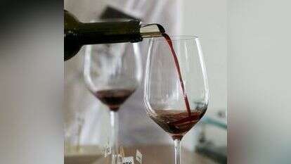 אנצ'ו גוש - ג'יני