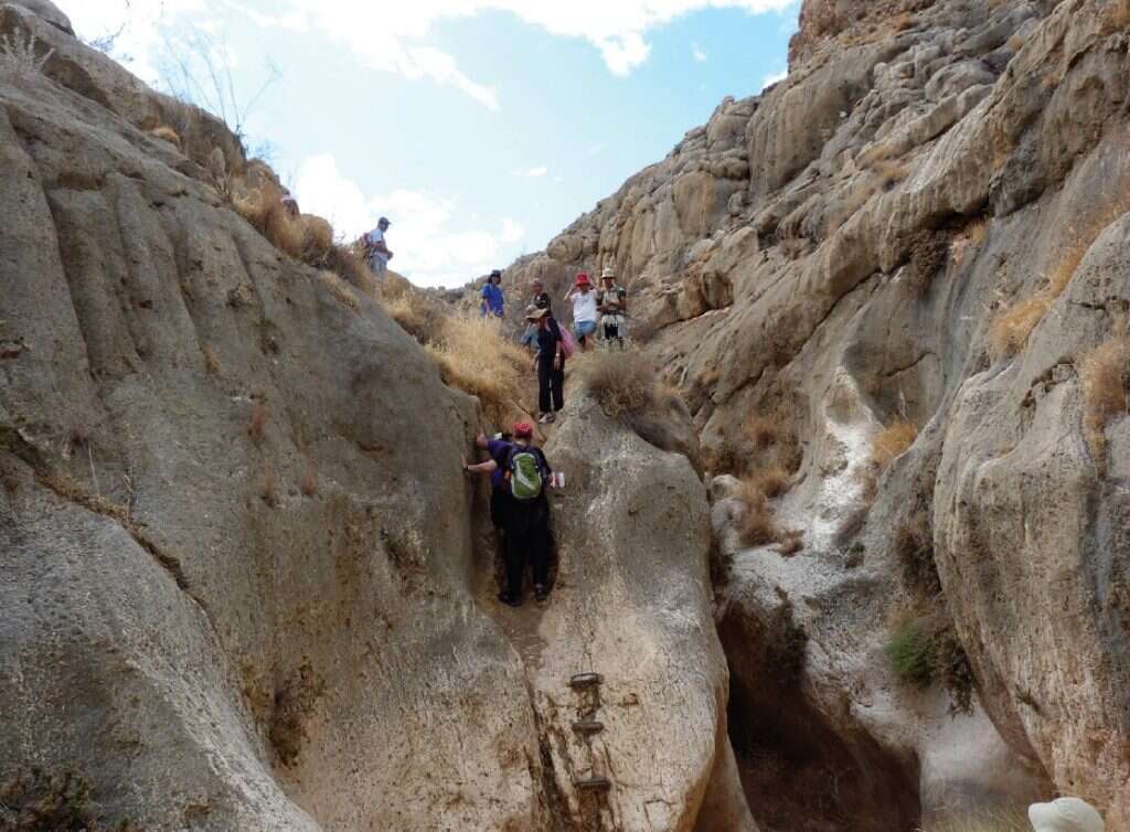 נחל פיראן ונחל תלכיד בבקעת הירדן. | באדיבות מועצת יש"ע מתוך הספר "מסלוליוש"