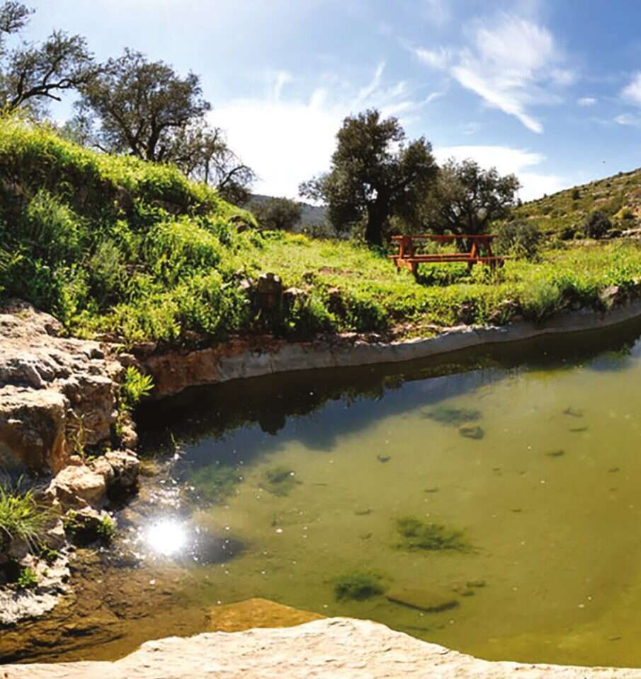באדיבות מועצת יש"ע מתוך הספר "מסלוליוש" באדיבות מועצת יש"ע מתוך הספר "מסלוליוש"