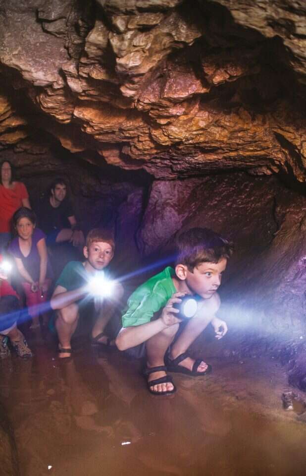 מהאלון הבודד לגבעת הדגן. | תיירות גוש עציון מהאלון הבודד לגבעת הדגן. | תיירות גוש עציון