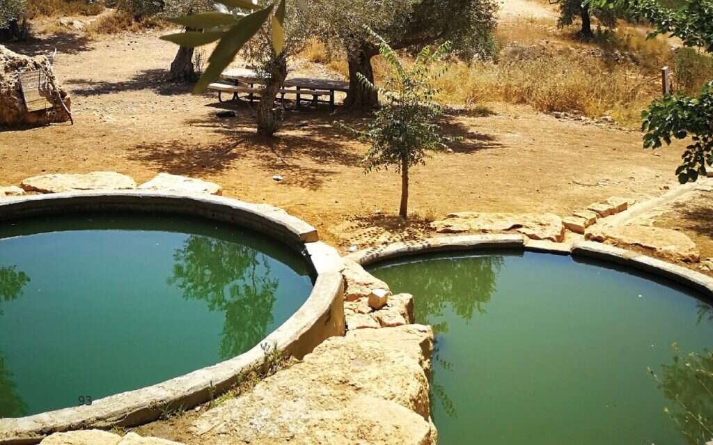 מהקרון ביישוב עלי למעיין הגבורה. | באדיבות מועצת יש"ע מתוך הספר "מסלוליוש"