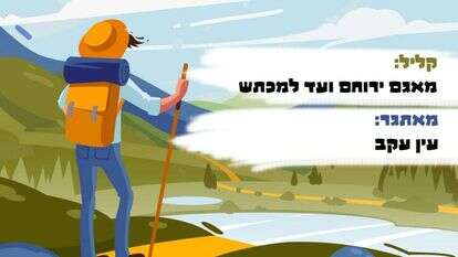 איור: שאטרסטוק