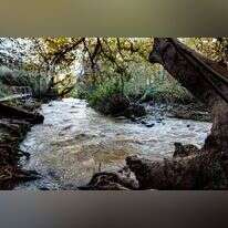 נחל שניר (חצבאני). | אייל מרגולין - ג'יני