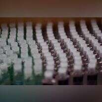 מוצרי חיטוי מוצעים למכירה בארה"ב | גטי אימג'ס