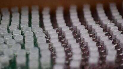 מוצרי חיטוי מוצעים למכירה בארה"ב | גטי אימג'ס