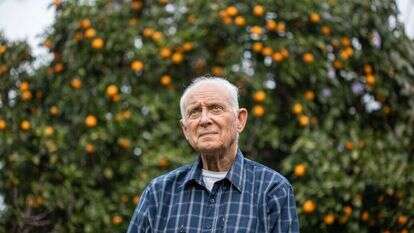 אבישג שאר־ישוב