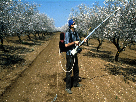 פתרון לעקרות השקדים. איזיקוביץ והמכשיר להאבקה אלקטרוסטטית. | באדיבות המצולם