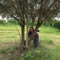 שרונה לימן. | יעל (פרוינד) אברהם