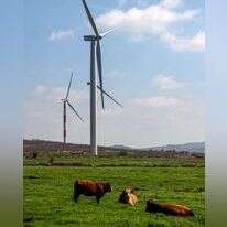 חוות הרוח של אנלייט בעמק הבכא בצפון רמת הגולן, | עופר בלנק חוות הרוח של אנלייט בעמק הבכא בצפון רמת הגולן, | עופר בלנק