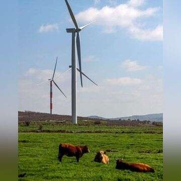 חוות הרוח של אנלייט בעמק הבכא בצפון רמת הגולן, | עופר בלנק חוות הרוח של אנלייט בעמק הבכא בצפון רמת הגולן, | עופר בלנק