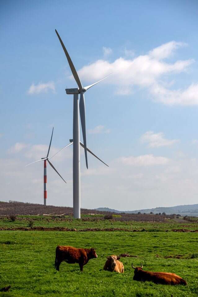 חוות הרוח של אנלייט בעמק הבכא בצפון רמת הגולן, | עופר בלנק